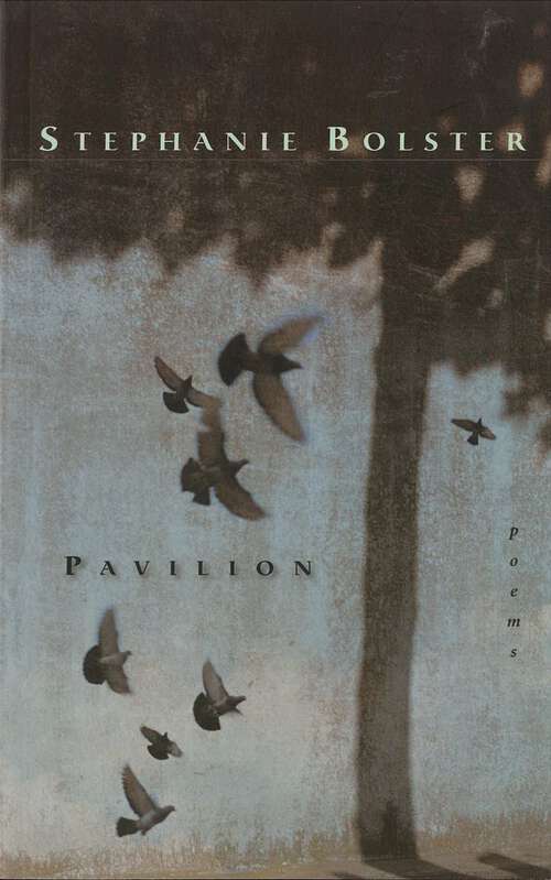Book cover of Pavilion