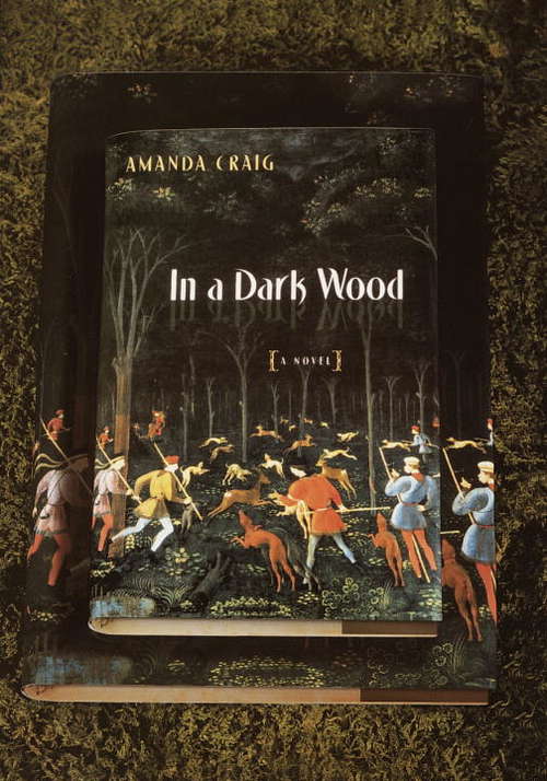 Book cover of In A Dark Wood