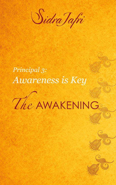 Book cover of Awareness Is Key