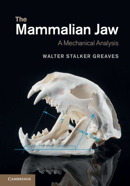 Book cover of The Mammalian Jaw