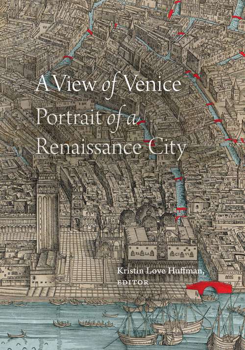 Book cover of A View of Venice: Portrait of a Renaissance City