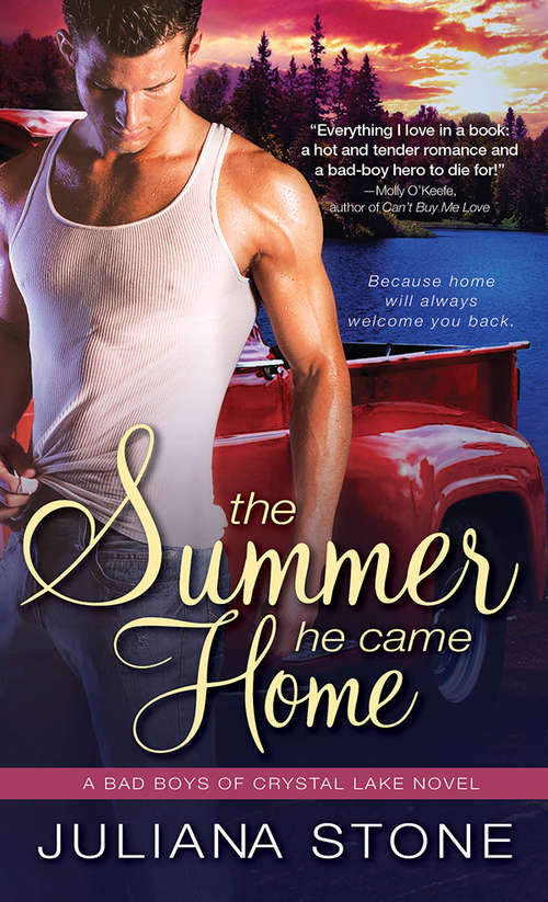 Book cover of The Summer He Came Home