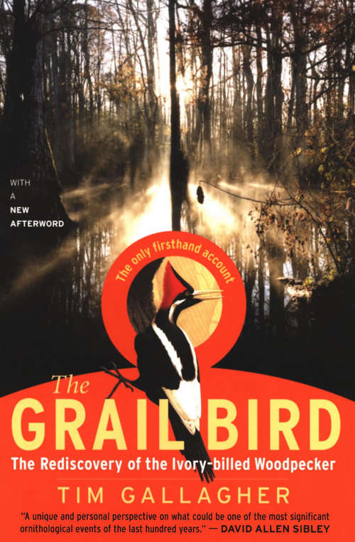 Book cover of The Grail Bird: The Rediscovery of the Ivory-billed Woodpecker