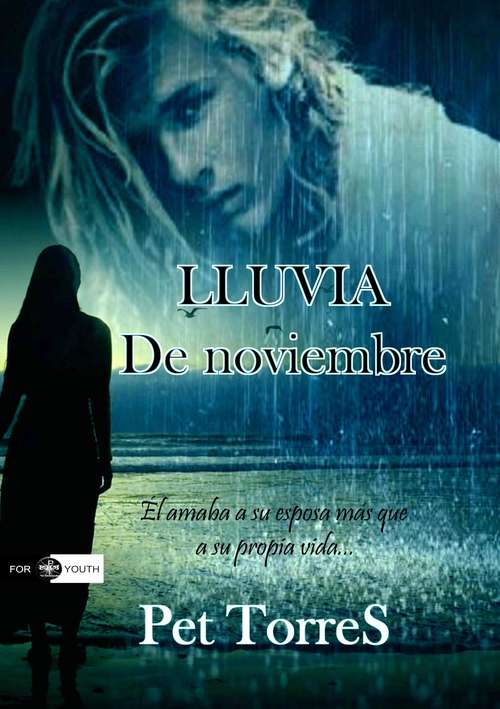 Book cover of Lluvia de Noviembre