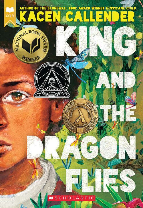 Book cover of King and the Dragonflies