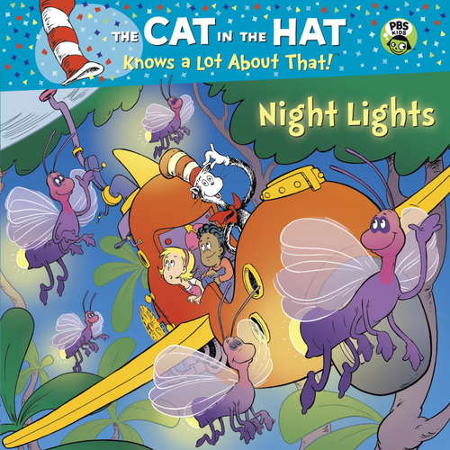 Book cover of Night Lights (Pictureback(R))