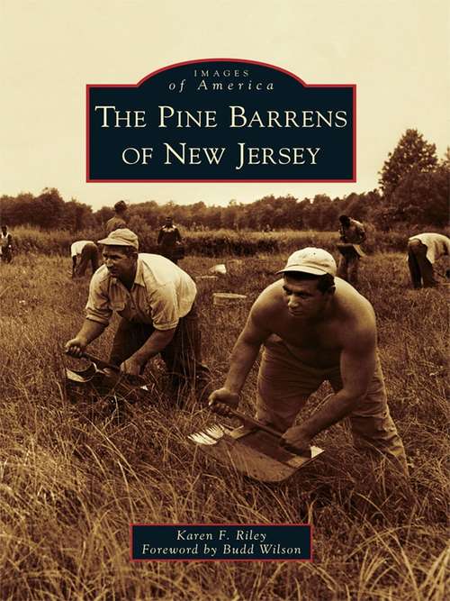 Pine Barrens of New Jersey, The