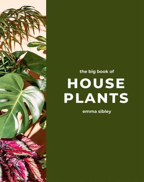 Book cover of The Big Book of House Plants