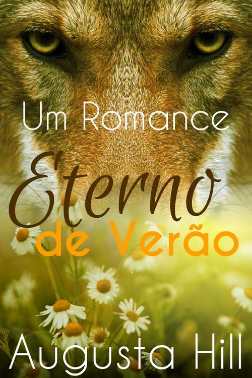Book cover of Um Romance Eterno de Verão