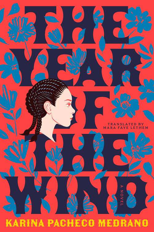 Book cover of The Year of the Wind: A Novel