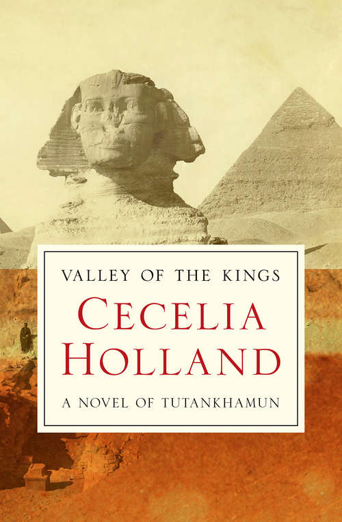 Book cover of Valley of the Kings