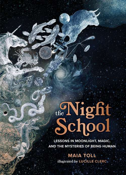 Book cover of The Night School: Lessons in Moonlight, Magic, and the Mysteries of Being Human
