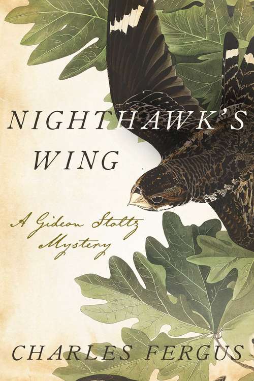 Book cover of Nighthawk's Wing: A Gideon Stoltz Mystery