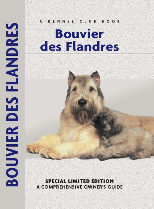 Book cover of Bouvier Des Flandres