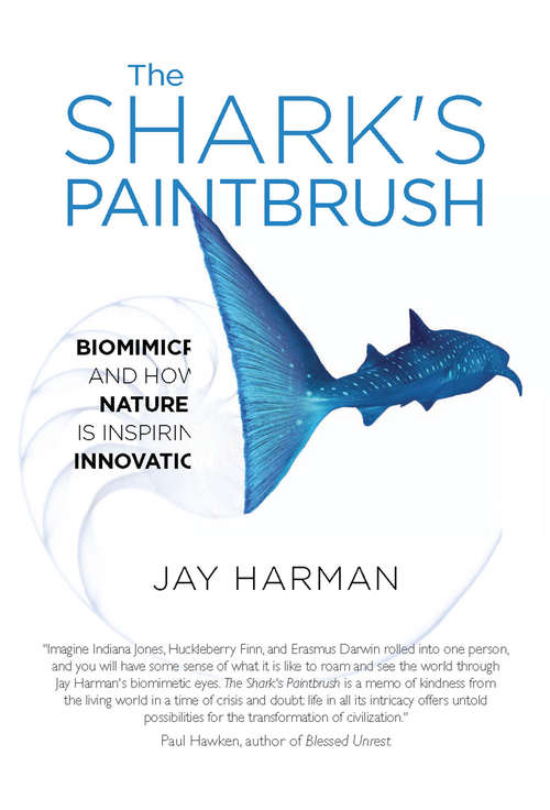 Book cover of The Shark's Paintbrush