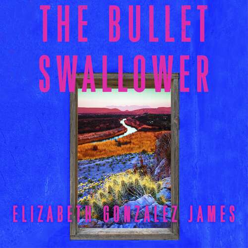 Book cover of The Bullet Swallower