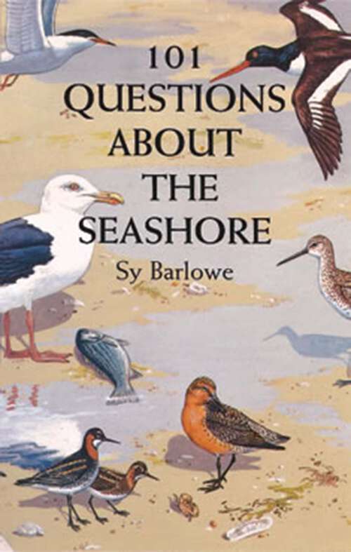 Book cover of 101 Questions About the Seashore