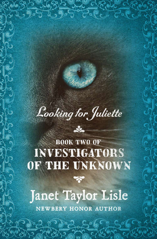 Book cover of Looking for Juliette (Digital Original) (Investigators of the Unknown #2)