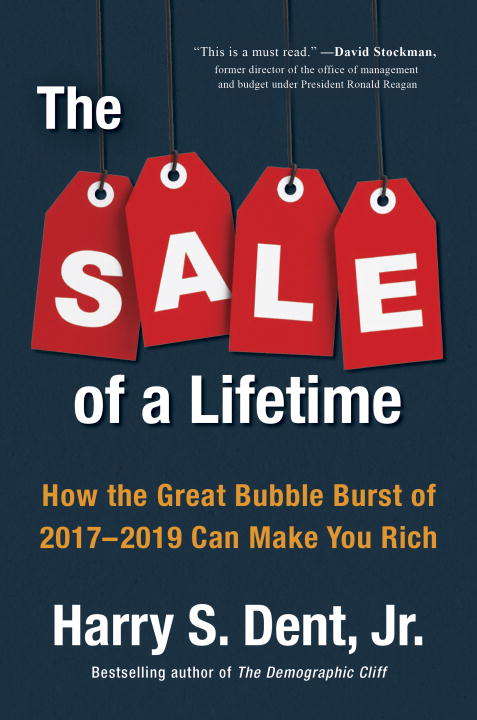 Book cover of The Sale of a Lifetime: How the Great Bubble Burst of 2017-2019 Can Make You Rich