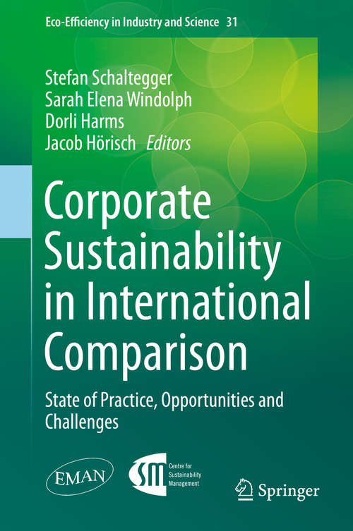 Corporate Sustainability in International Comparison: State of Practice, Opportunities and Challenges (Eco-Efficiency in Industry and Science #31)