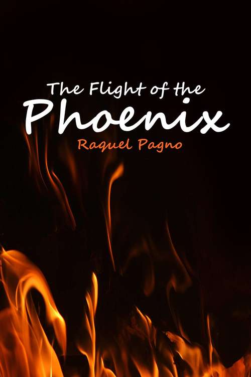 Book cover of The Flight of the Phoenix