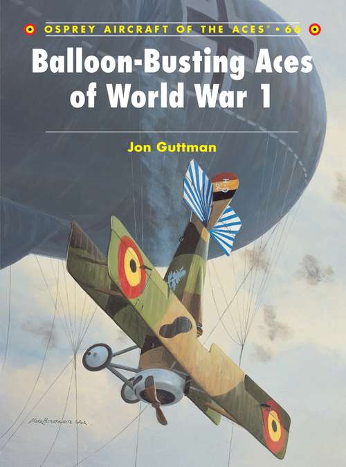 Book cover of Balloon-Busting Aces of World War 1