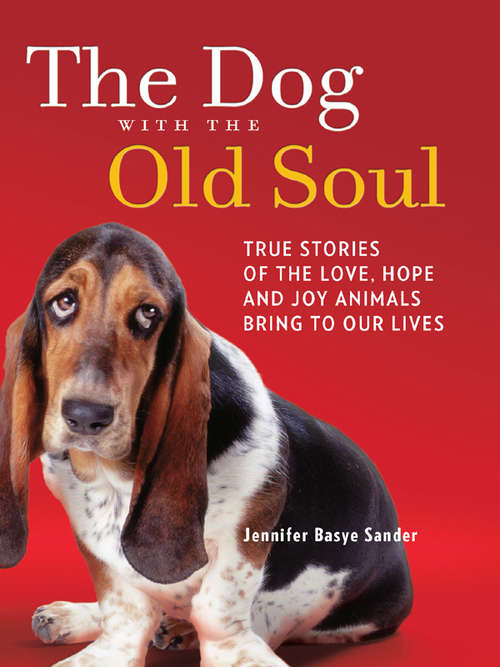 Book cover of The Dog with the Old Soul