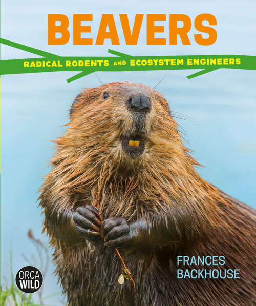 Book cover of Beavers: Radical Rodents and Ecosystem Engineers (Orca Wild #6)
