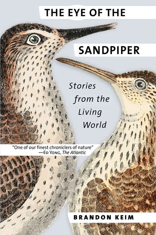 Book cover of The Eye of the Sandpiper: Stories from the Living World