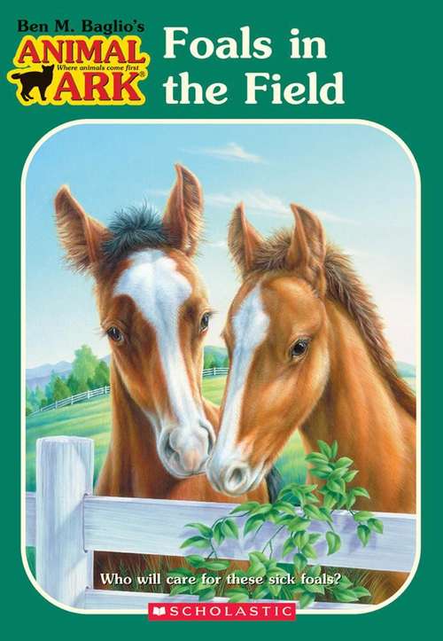 Book cover of Foals in the Field (Animal Ark #24)