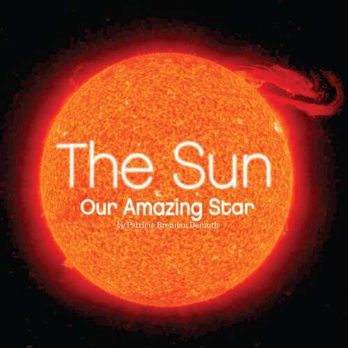 Book cover of The Sun: Our Amazing Star (Penguin Core Concepts Ser.)