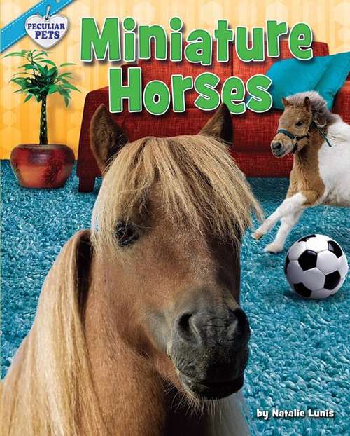 Book cover of Miniature Horses (Peculiar Pets)