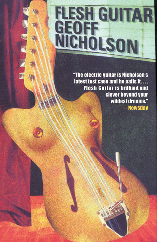 Book cover of Flesh Guitar