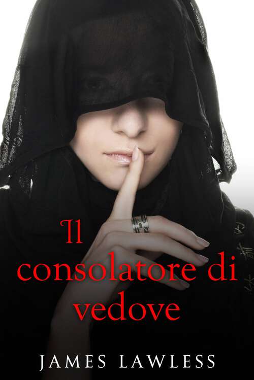 Book cover of Il consolatore di vedove