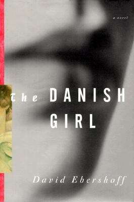 Book cover of The Danish Girl: A Novel