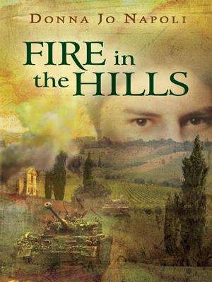 Book cover of Fire in the Hills