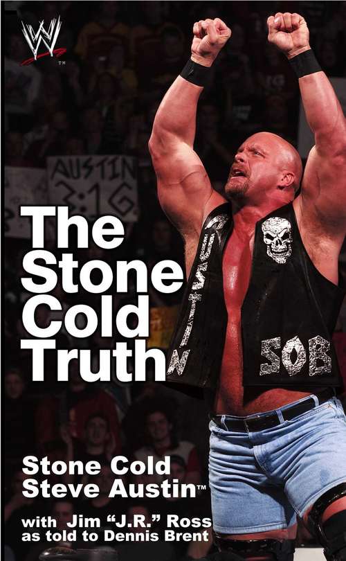Book cover of The Stone Cold Truth