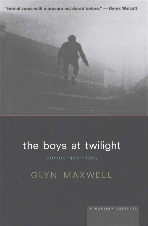 Book cover of The Boys At Twilight