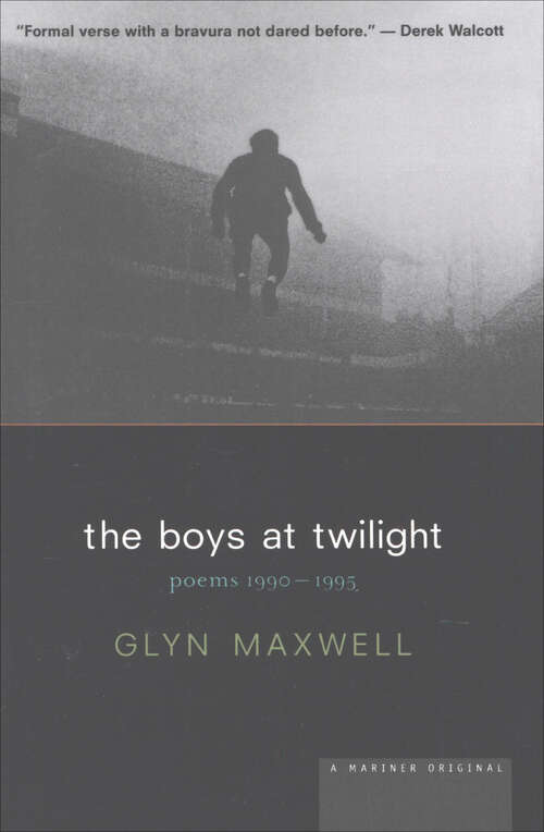 Book cover of The Boys At Twilight: Poems 1990–1995