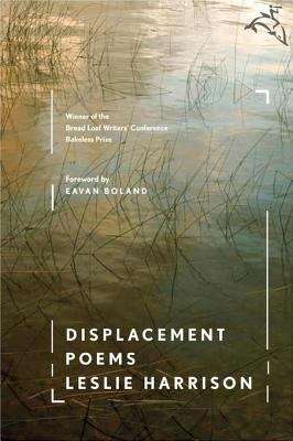 Book cover of Displacement