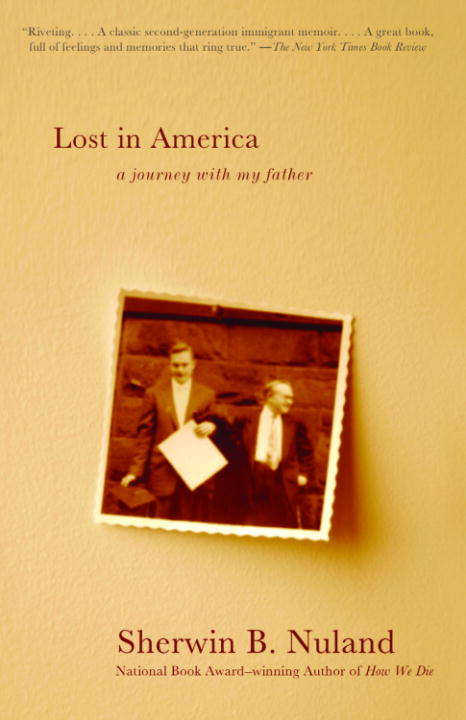 Book cover of Lost in America
