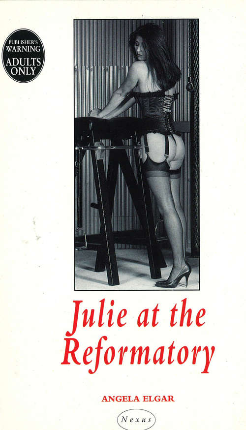 Book cover of Julie At The Reformatory