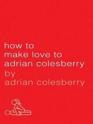 Book cover of How to Make Love to Adrian Colesberry
