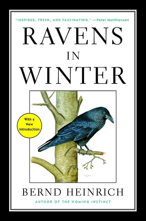 Book cover of Ravens in Winter