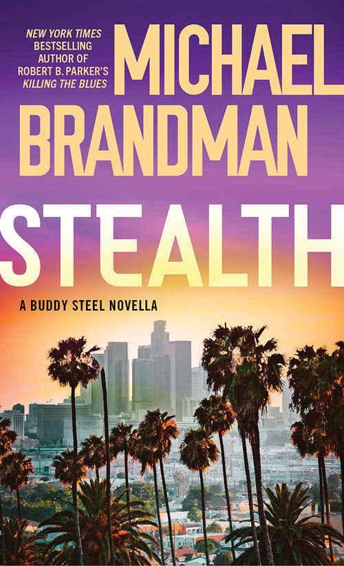 Book cover of Stealth (A Buddy Steel Novella)