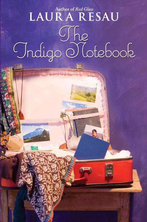 Book cover of The Indigo Notebook