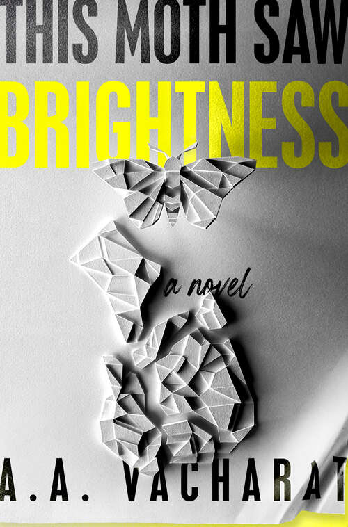 Book cover of This Moth Saw Brightness