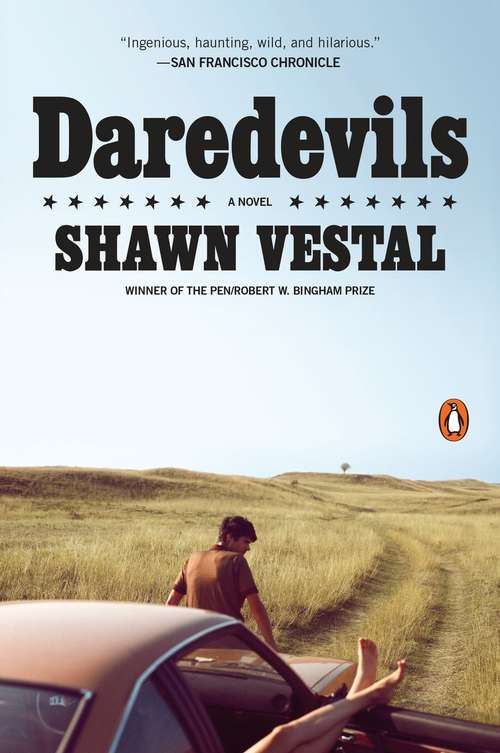Book cover of Daredevils