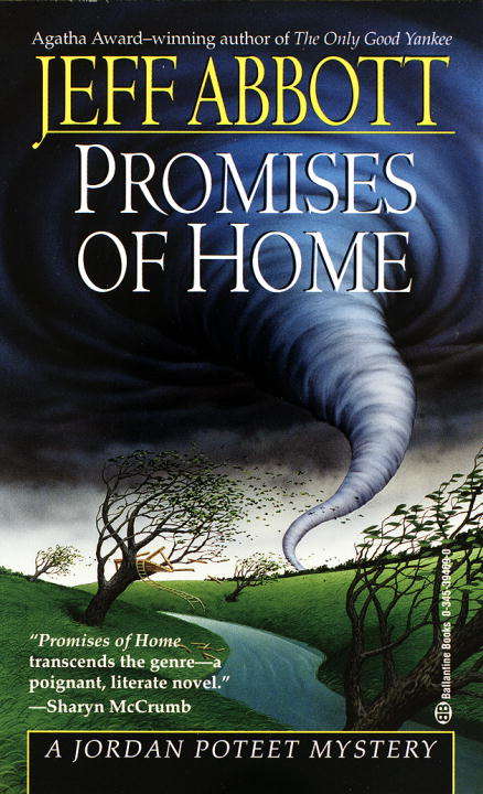 Book cover of Promises of Home (Jordan Poteet #3)