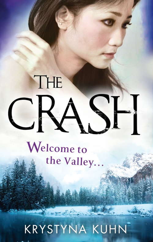 The Crash: Number 2 in series